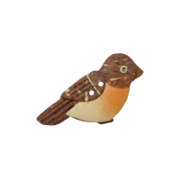 Bouton oiseau rouge-gorge tête droite